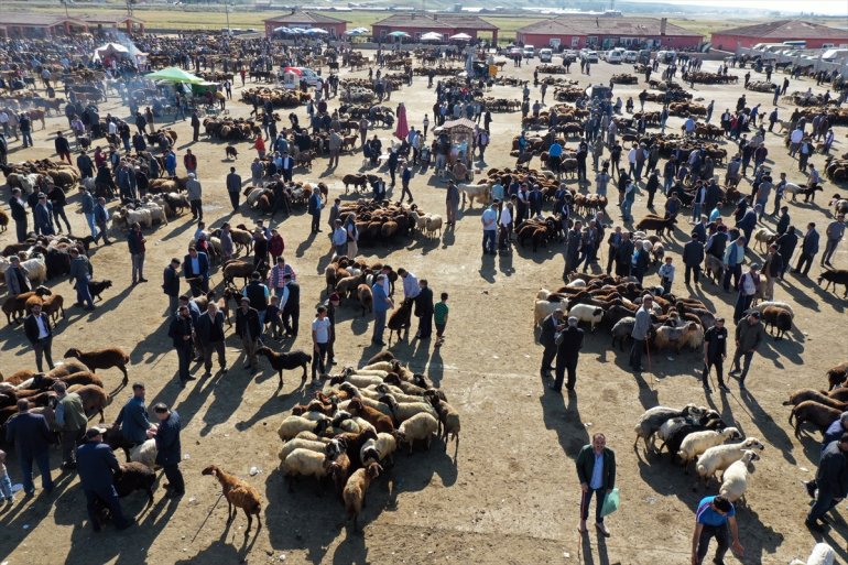 Ağrı Hayvan sürüyor Batı hareketlilik kurbanlıkların gönderildiği illerine Pazarı
