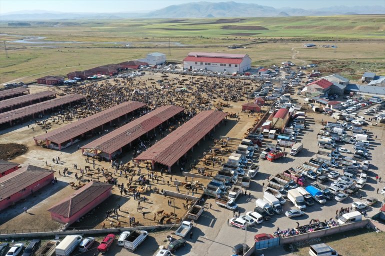 Ağrı hareketlilik kurbanlıkların Pazarı