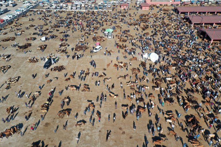 Ağrı hareketlilik gönderildiği illerine sürüyor kurbanlıkların Hayvan Batı Pazarı