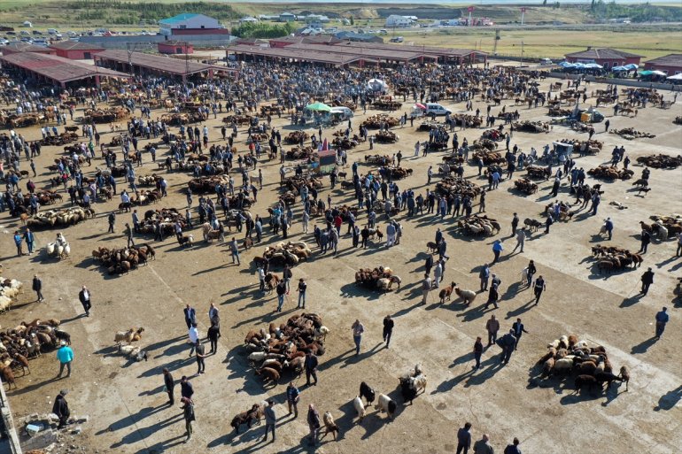 Ağrı Batı gönderildiği sürüyor Hayvan illerine kurbanlıkların hareketlilik Pazarı