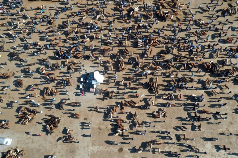 Batı kurbanlıkların illerine Hayvan gönderildiği Pazarı