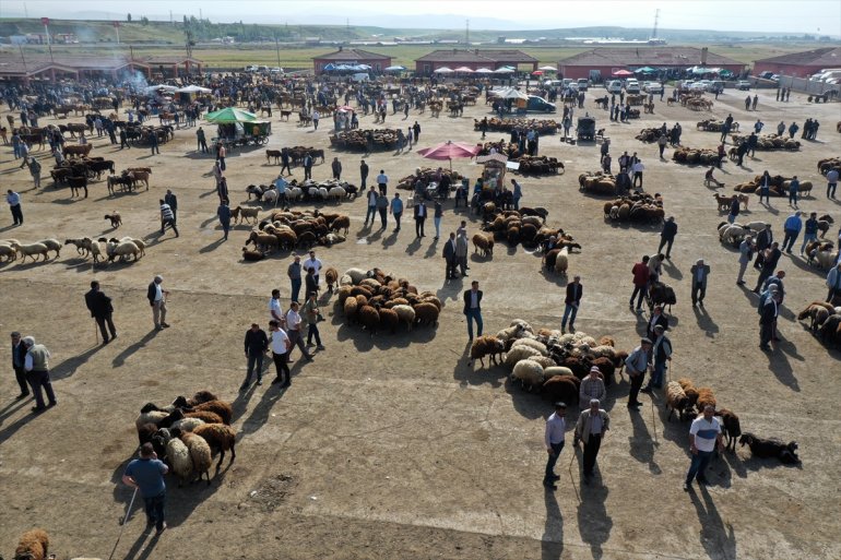 hareketlilik Batı Pazarı