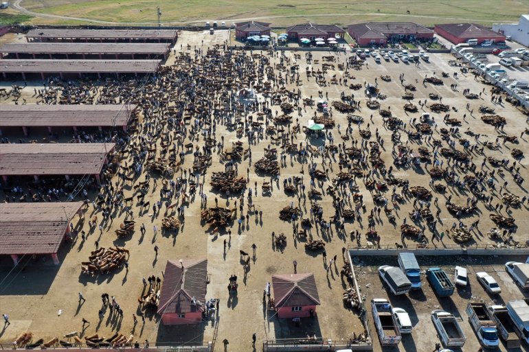 Ağrı kurbanlıkların sürüyor Batı hareketlilik Hayvan Pazarı