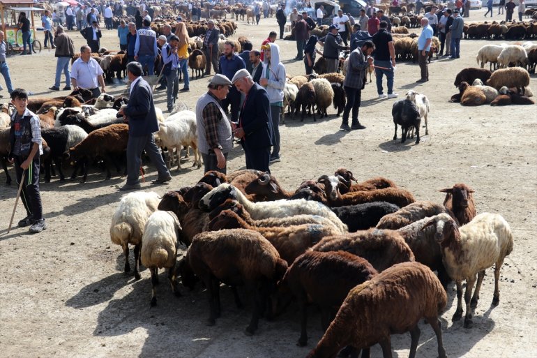 sürüyor gönderildiği Batı illerine hareketlilik Ağrı Pazarı