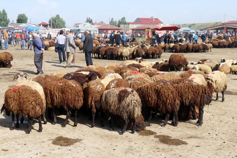 Ağrı hareketlilik sürüyor illerine Batı Pazarı