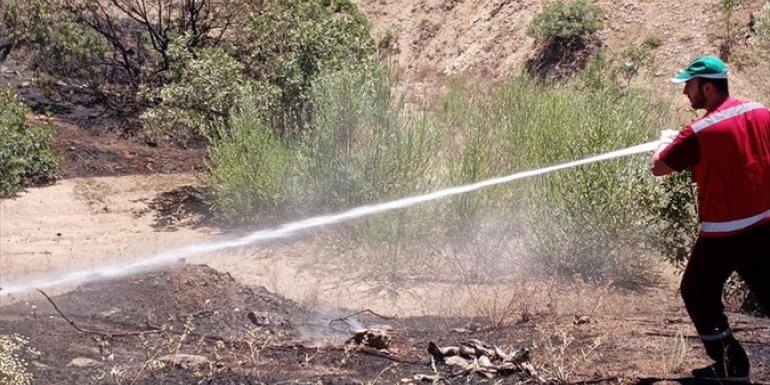 Bingöl'de çıkan orman yangını söndürüldü