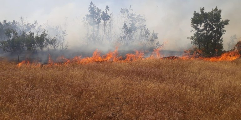 Bingöl'de çıkan orman yangını söndürüldü