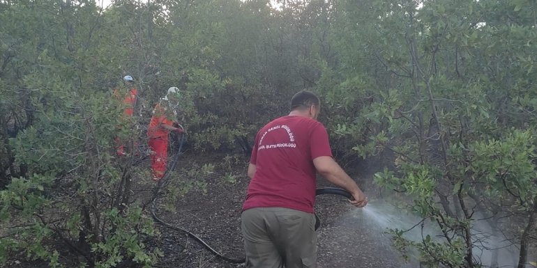 Bingöl'de çıkan orman yangını söndürüldü