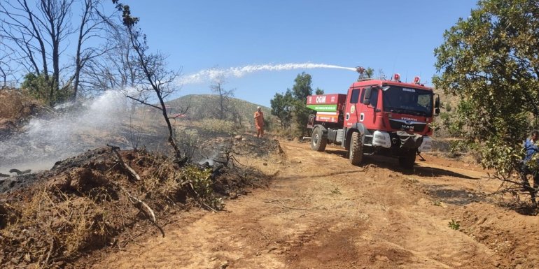 Bingöl'de çıkan orman yangını söndürüldü