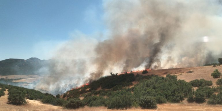 Bingöl'de çıkan orman yangınları söndürüldü