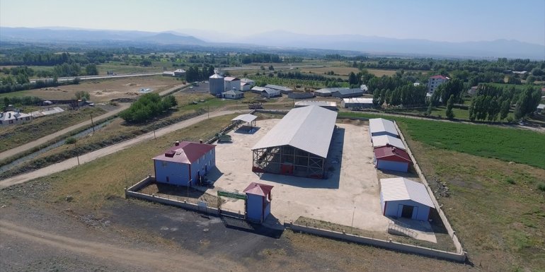 Bingöl'de kurban satış ve kesim yerleri belirlendi