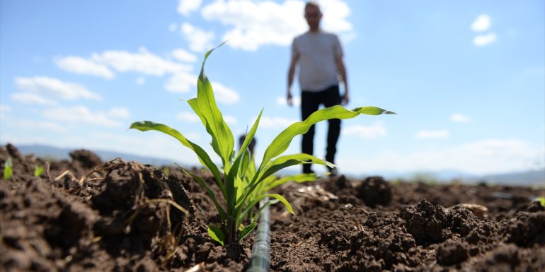 Bingöl'de toprağı besleyerek verimi artıracak organik gübre üretildi