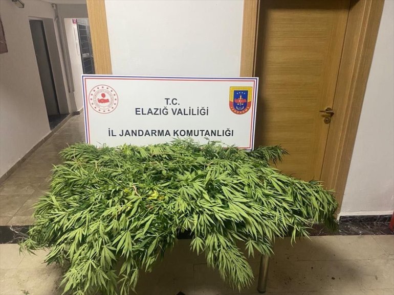 Elazığ'da uyuşturucu operasyonu