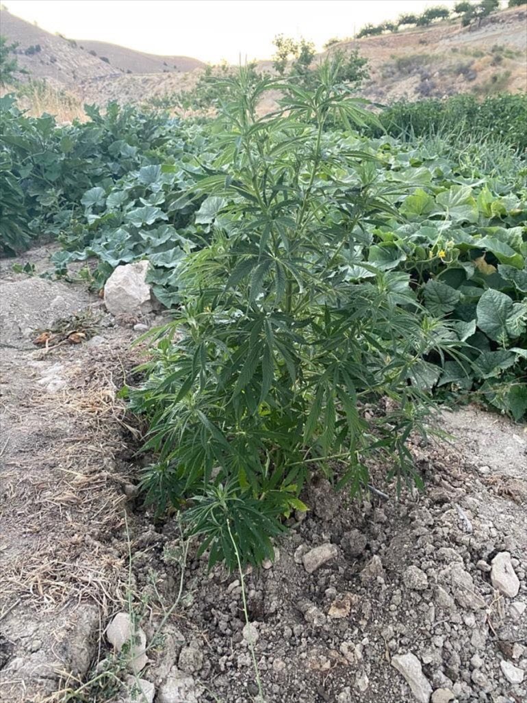 operasyonu Uyuşturucu - ELAZIĞ 3