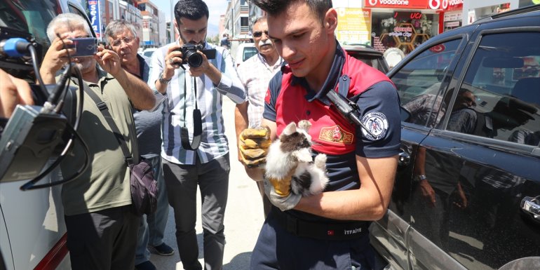 Erzincan'da otomobilin kapısına sıkışan kediyi itfaiye kurtardı