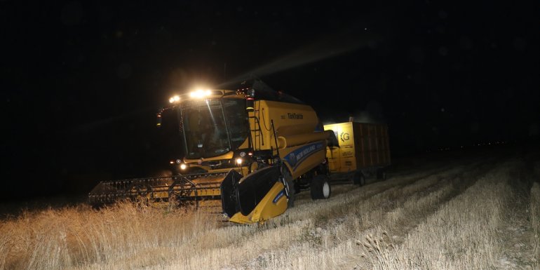 Çiftçilerden aşırı sıcağa "gece hasadı" çözümü