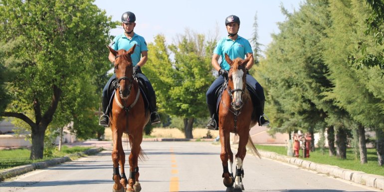 Malatya'da atlı jandarma timi göreve başladı