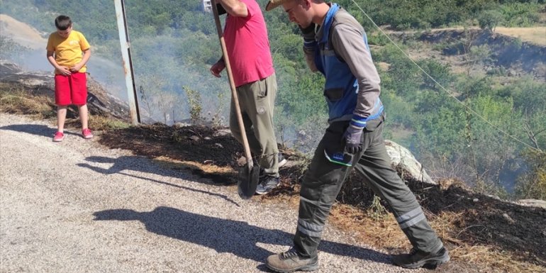Malatya'da çıkan yangında kayısı ağaçları zarar gördü