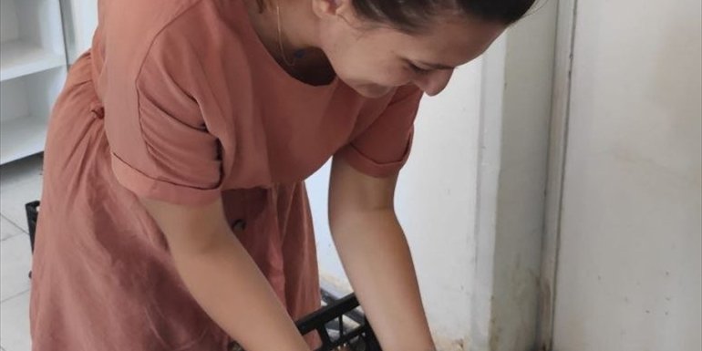 Malatya'da yaralı sincap ve kulaklı orman baykuşu yavrusu tedaviye alındı