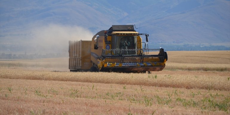 MUŞ - Arpa ve buğday üretimi arttı1