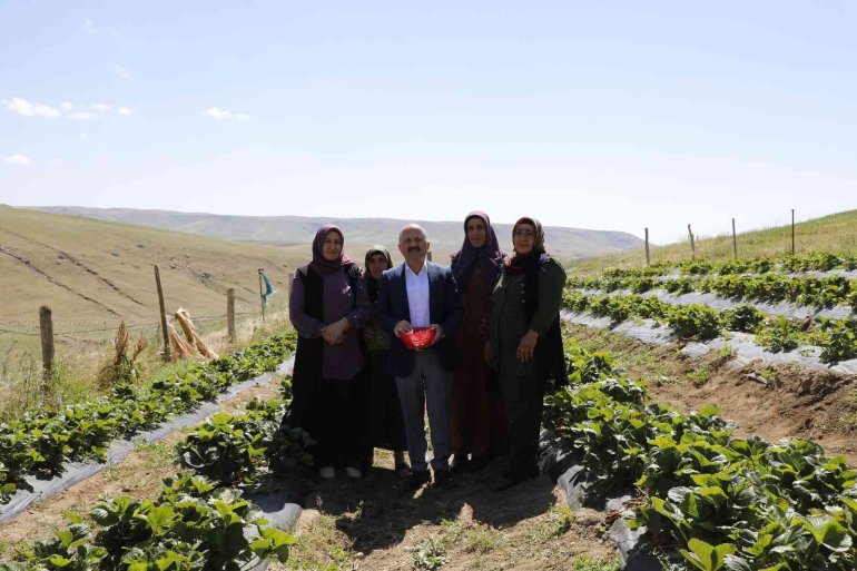 osman varol kadın Kooperatifi6