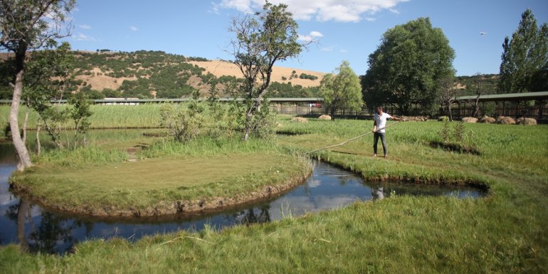 Rüzgarın yönüne göre yer değiştiren yüzen adalar 6 ayda 20 bin kişiyi ağırladı1