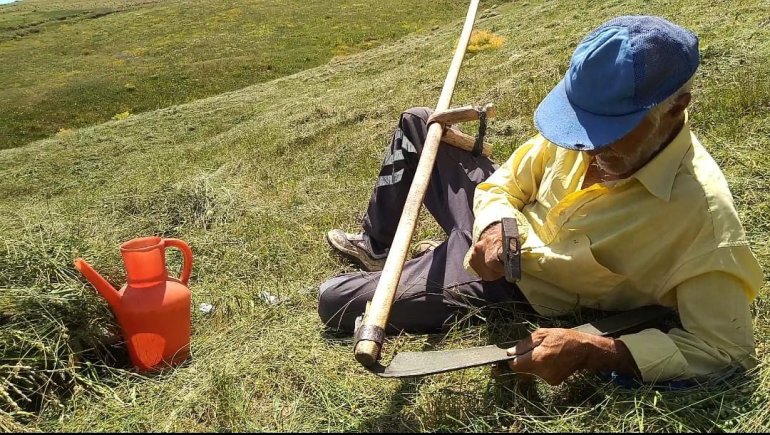 Tırpanla ot biçme geleneği kayboluyor1