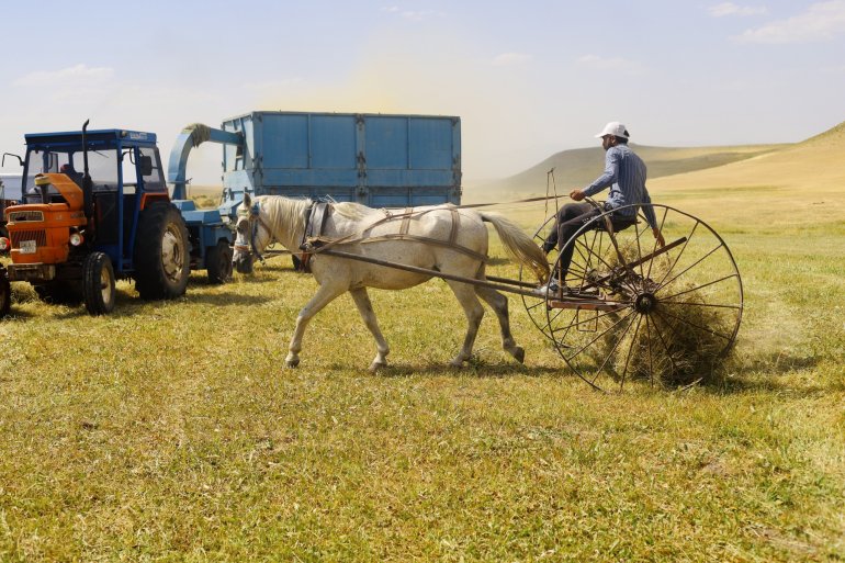 Toprağın emekçileri kavurucu sıcaklar altında ter döküyor1