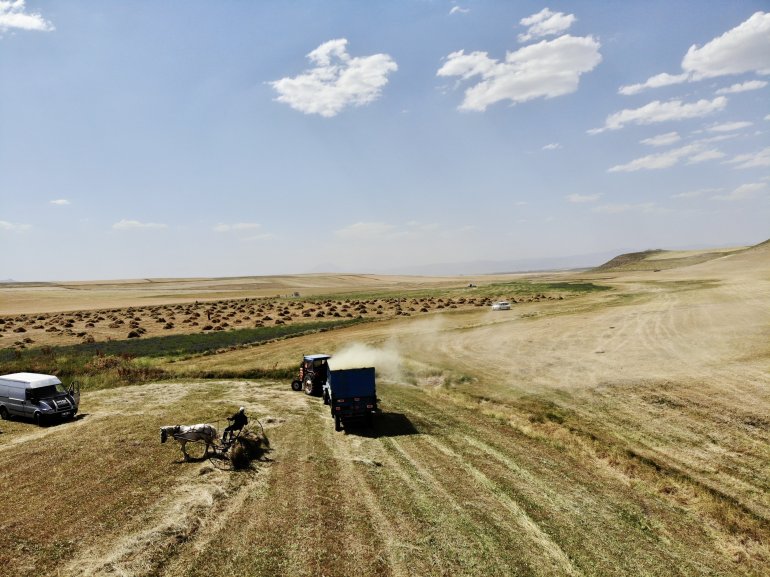 Toprağın emekçileri kavurucu sıcaklar altında ter döküyor11
