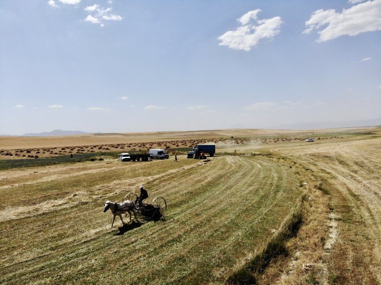 Toprağın emekçileri kavurucu sıcaklar altında ter döküyor12