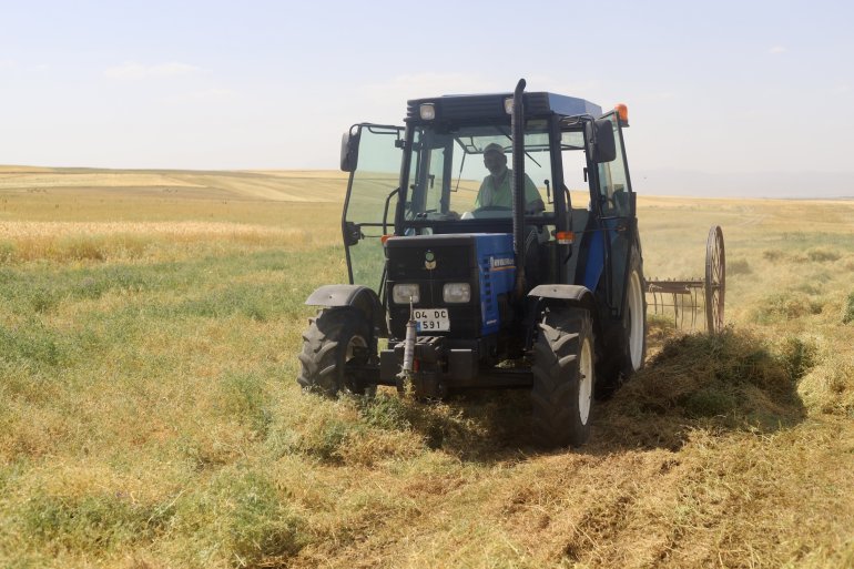 Toprağın emekçileri kavurucu sıcaklar altında ter döküyor5