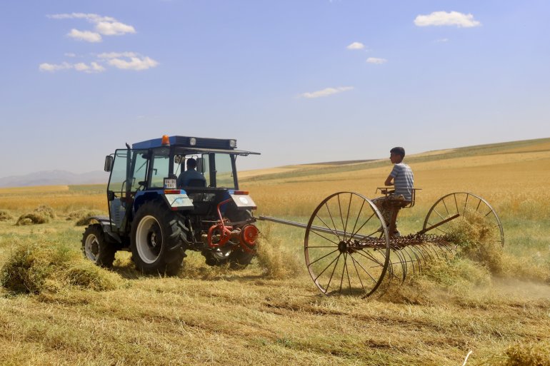 Toprağın emekçileri kavurucu sıcaklar altında ter döküyor6