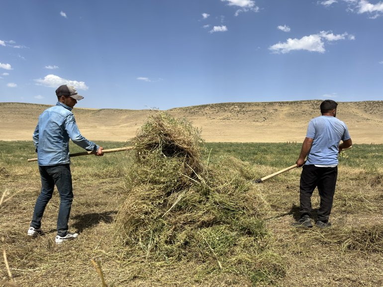 Toprağın emekçileri kavurucu sıcaklar altında ter döküyor9