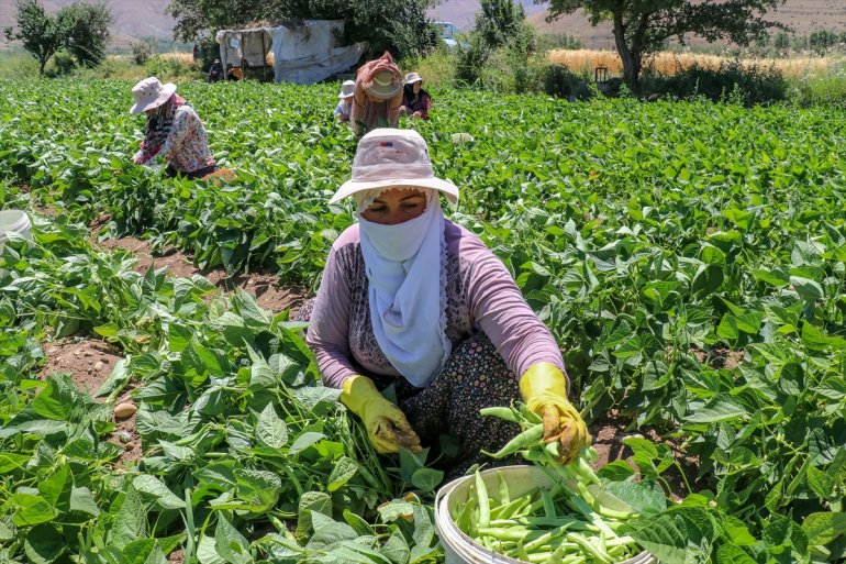 VAN parçası Kadınlar, - kurdukları oldu kooperatiflerle üretimin 11