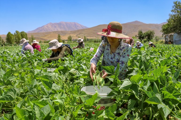 Kadınlar, VAN - üretimin kurdukları kooperatiflerle parçası oldu 13