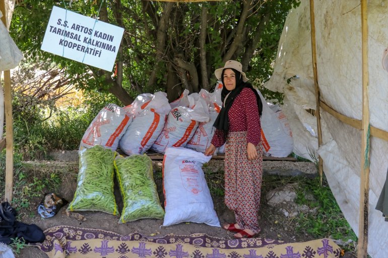 VAN oldu üretimin Kadınlar, parçası kooperatiflerle - kurdukları 14
