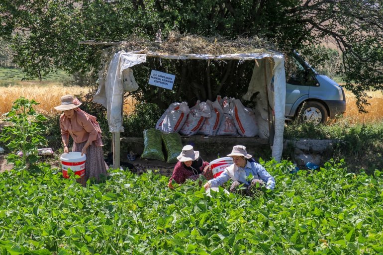 kurdukları üretimin oldu VAN - Kadınlar, kooperatiflerle parçası 8