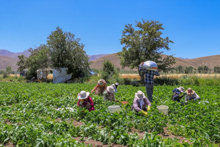 kooperatiflerle VAN üretimin kurdukları oldu Kadınlar, parçası - 9