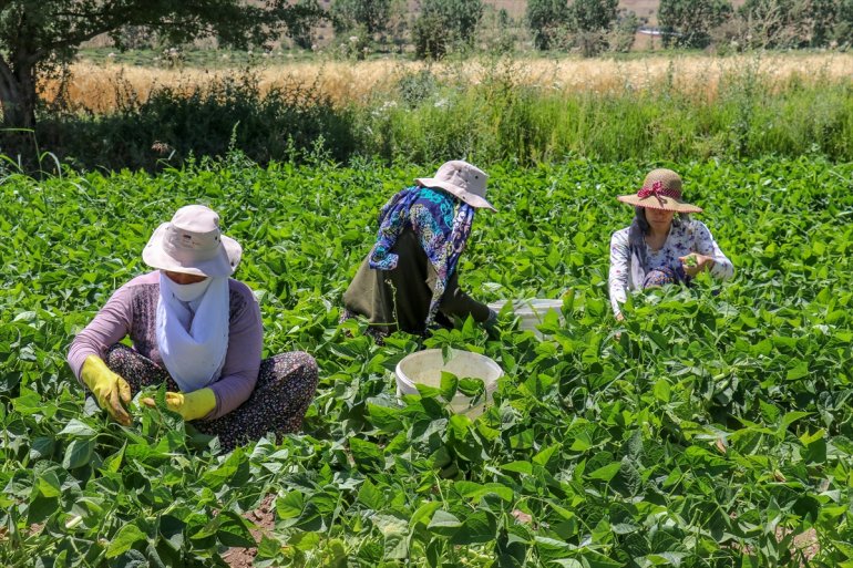 - oldu Kadınlar, VAN parçası kurdukları üretimin kooperatiflerle 10