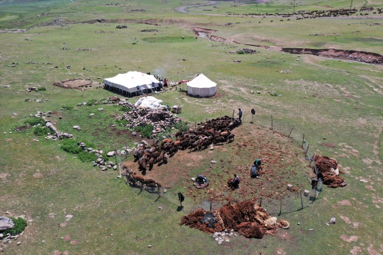 koyunlarını göçerler imece usulü Yayladaki kırkıyor 12