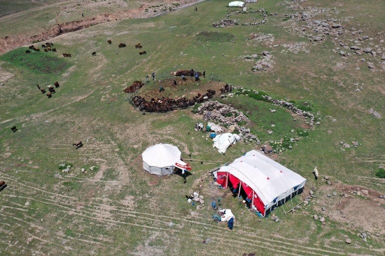 kırkıyor imece göçerler usulü Yayladaki koyunlarını 13