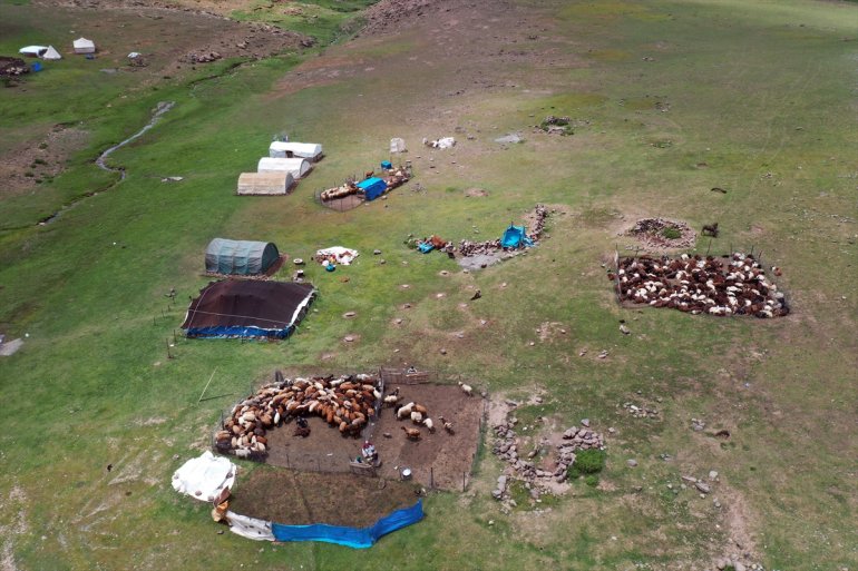 imece kırkıyor koyunlarını usulü göçerler Yayladaki 4