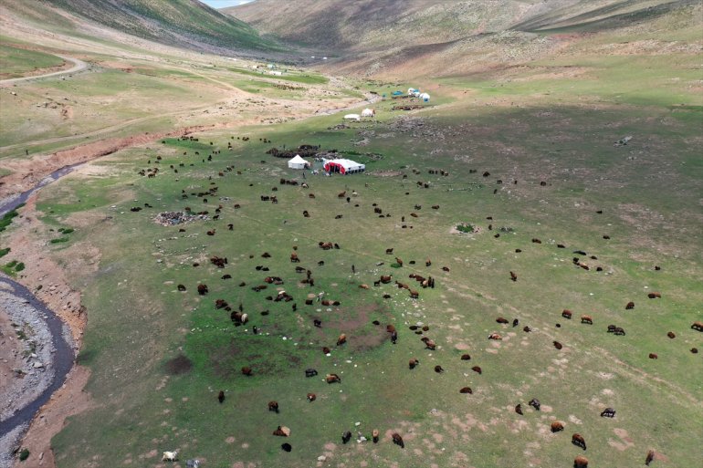 göçerler imece Yayladaki koyunlarını kırkıyor usulü 6