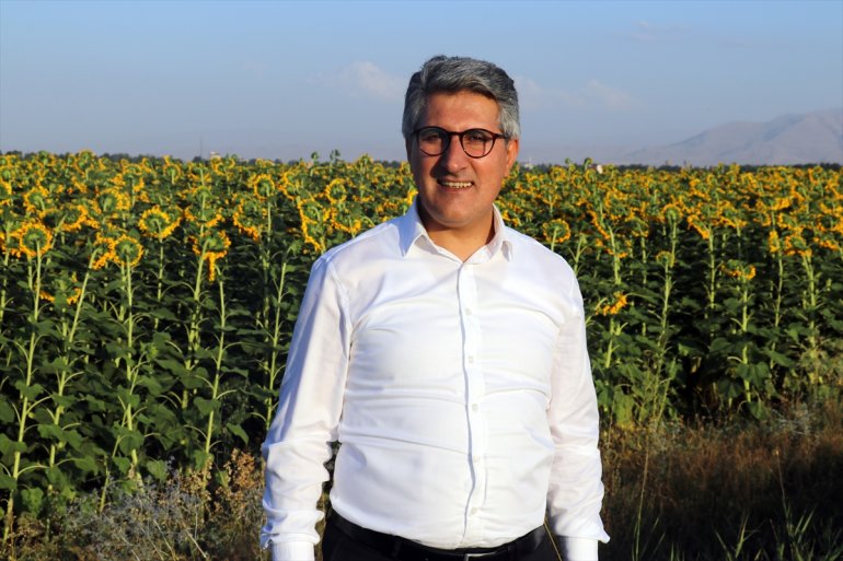 Ayçiçeği - Trakya