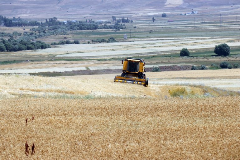 yoğun Çiftçiler AĞRI tarlalarında hasat buğday ve - mesaisinde arpa 12