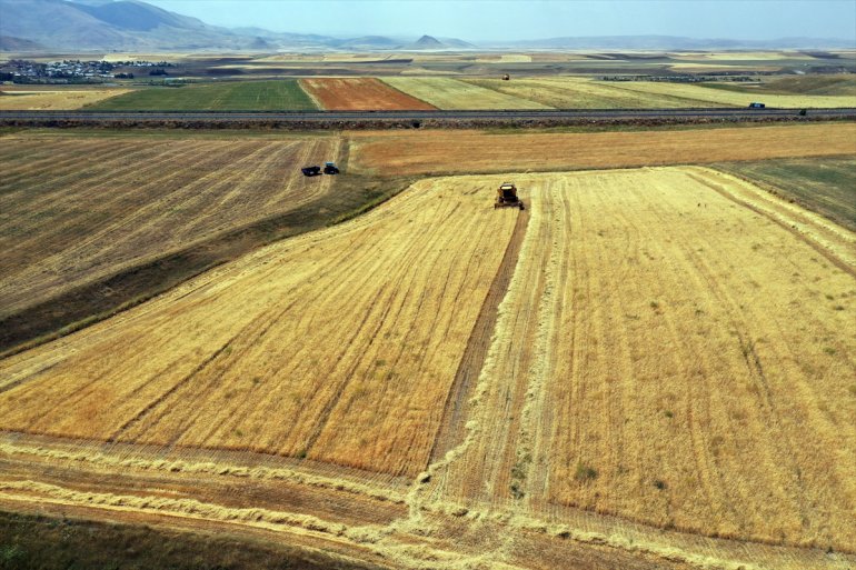 arpa Çiftçiler AĞRI tarlalarında mesaisinde yoğun hasat ve - buğday 21