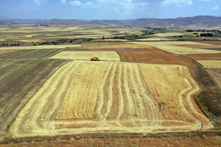 - ve buğday mesaisinde Çiftçiler AĞRI hasat tarlalarında yoğun arpa 23