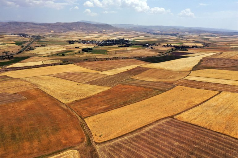 - Çiftçiler AĞRI mesaisinde buğday arpa ve tarlalarında hasat yoğun 27