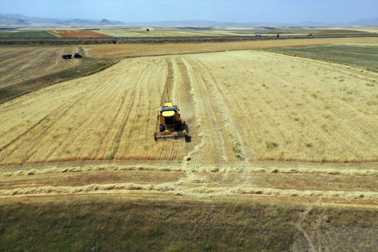 tarlalarında AĞRI ve buğday arpa mesaisinde Çiftçiler - hasat yoğun 28