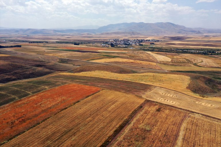 Çiftçiler mesaisinde buğday - tarlalarında arpa yoğun AĞRI ve hasat 10